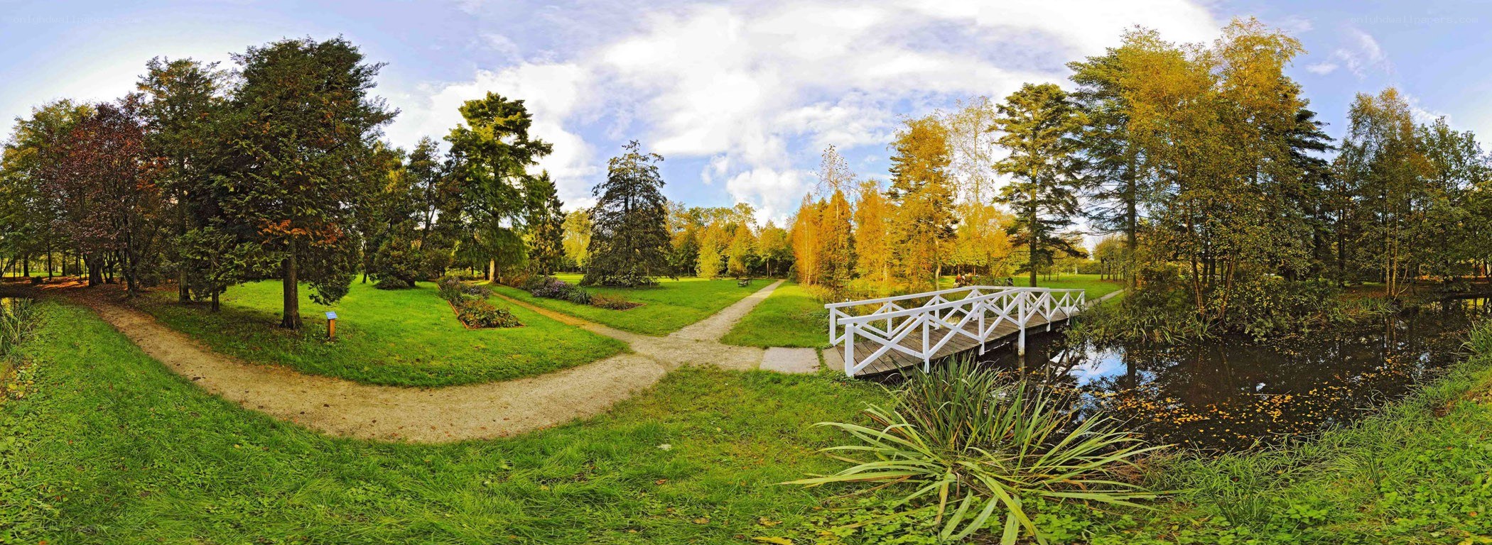 Park with bridge and autumn trees