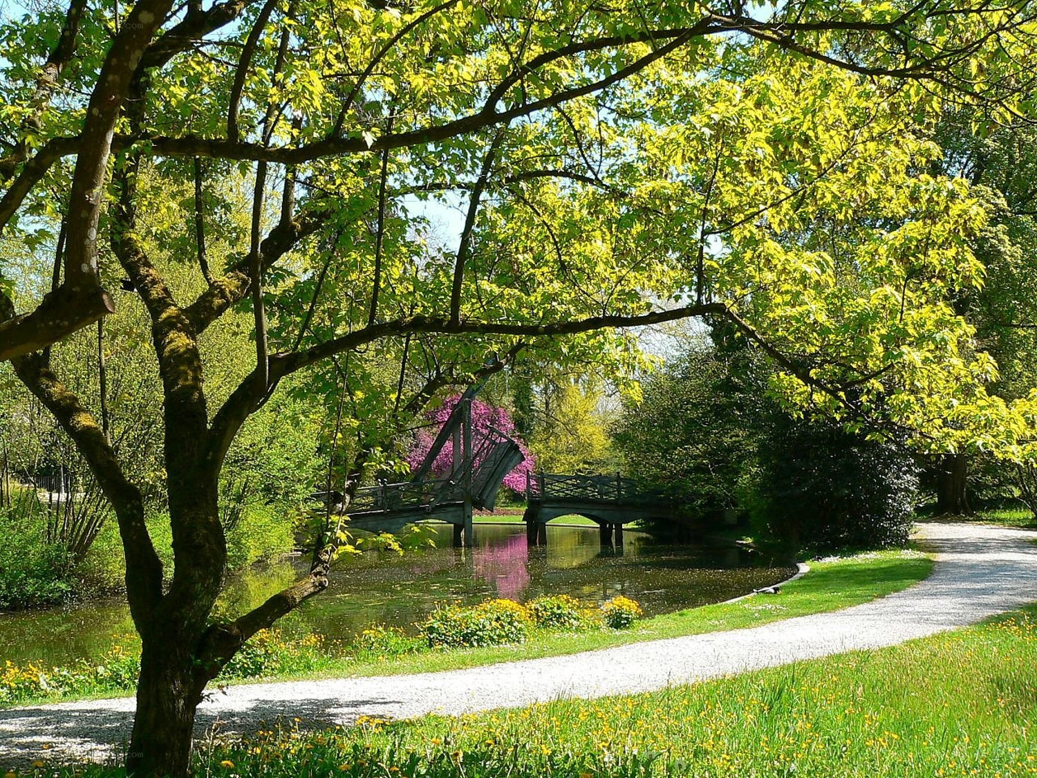 Park with bridge and flowers