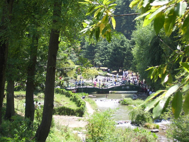 Park with bridge over stream