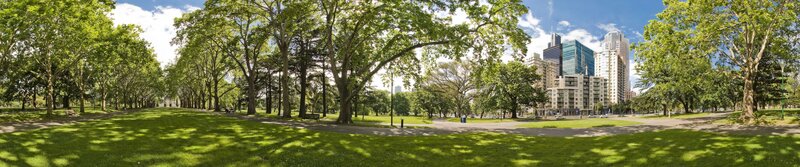 Park with city skyline