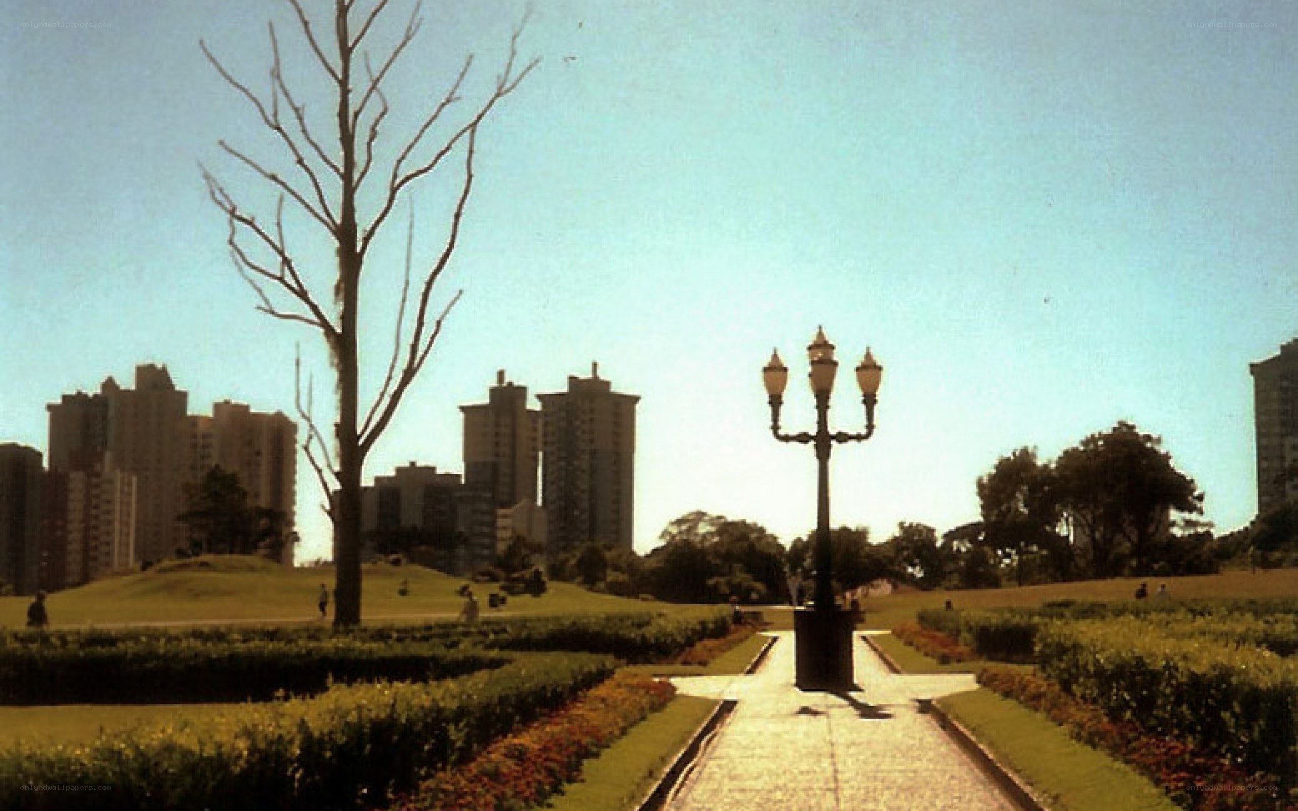 Park with city skyline