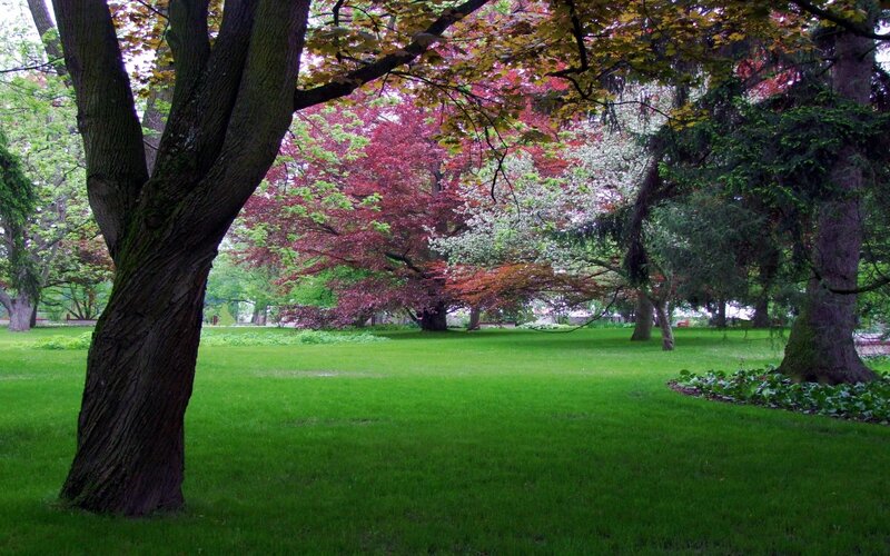 Park with colorful trees