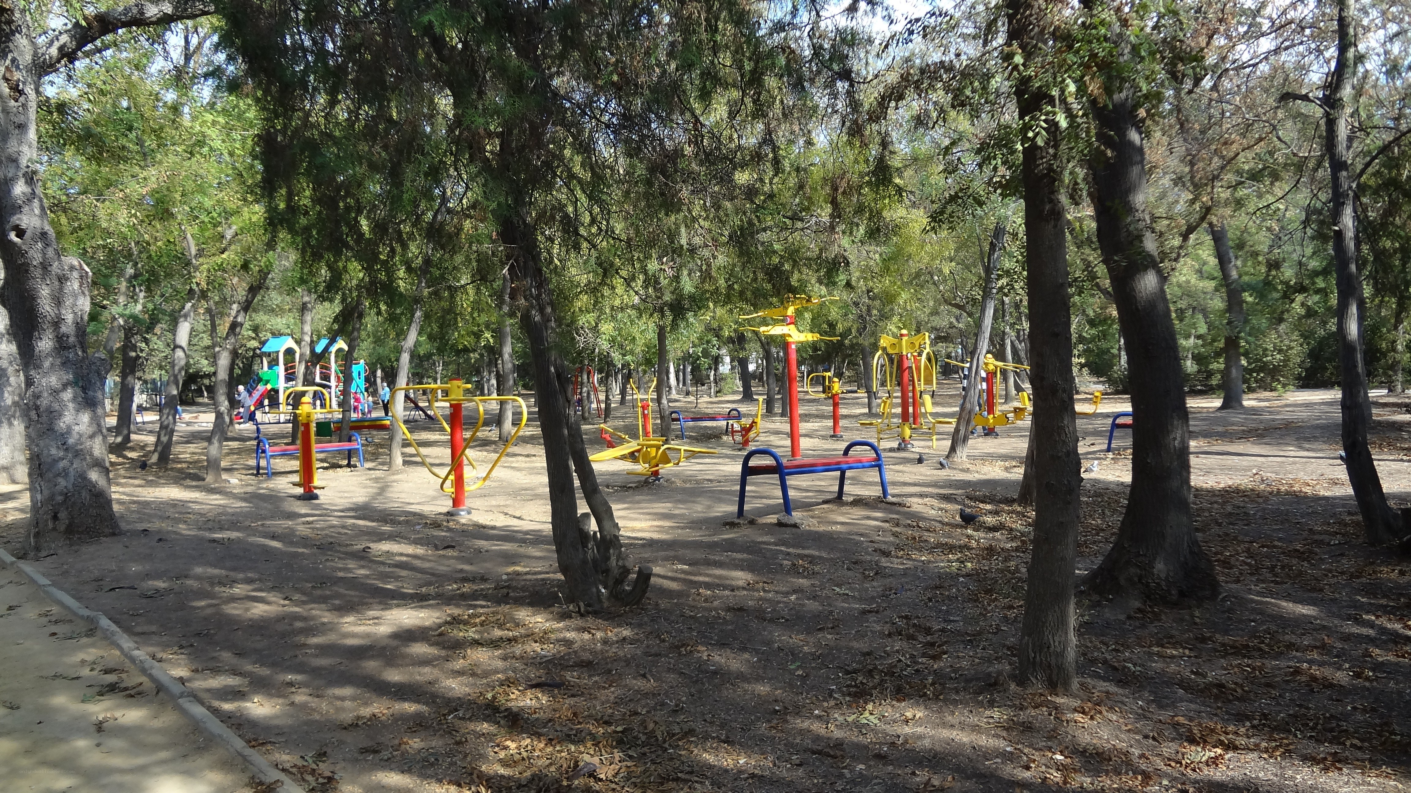 Park with exercise equipment