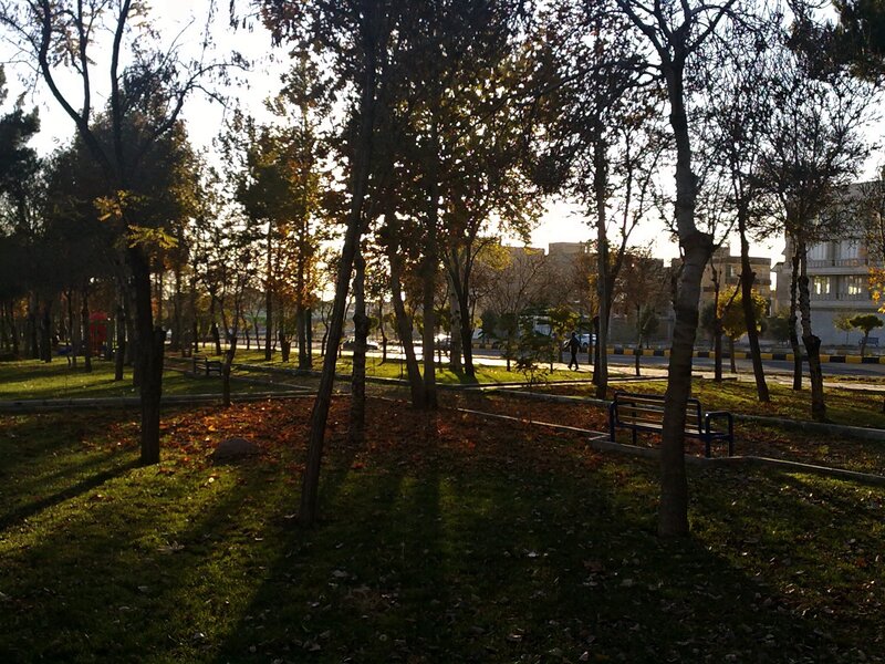 Park with Fallen Leaves
