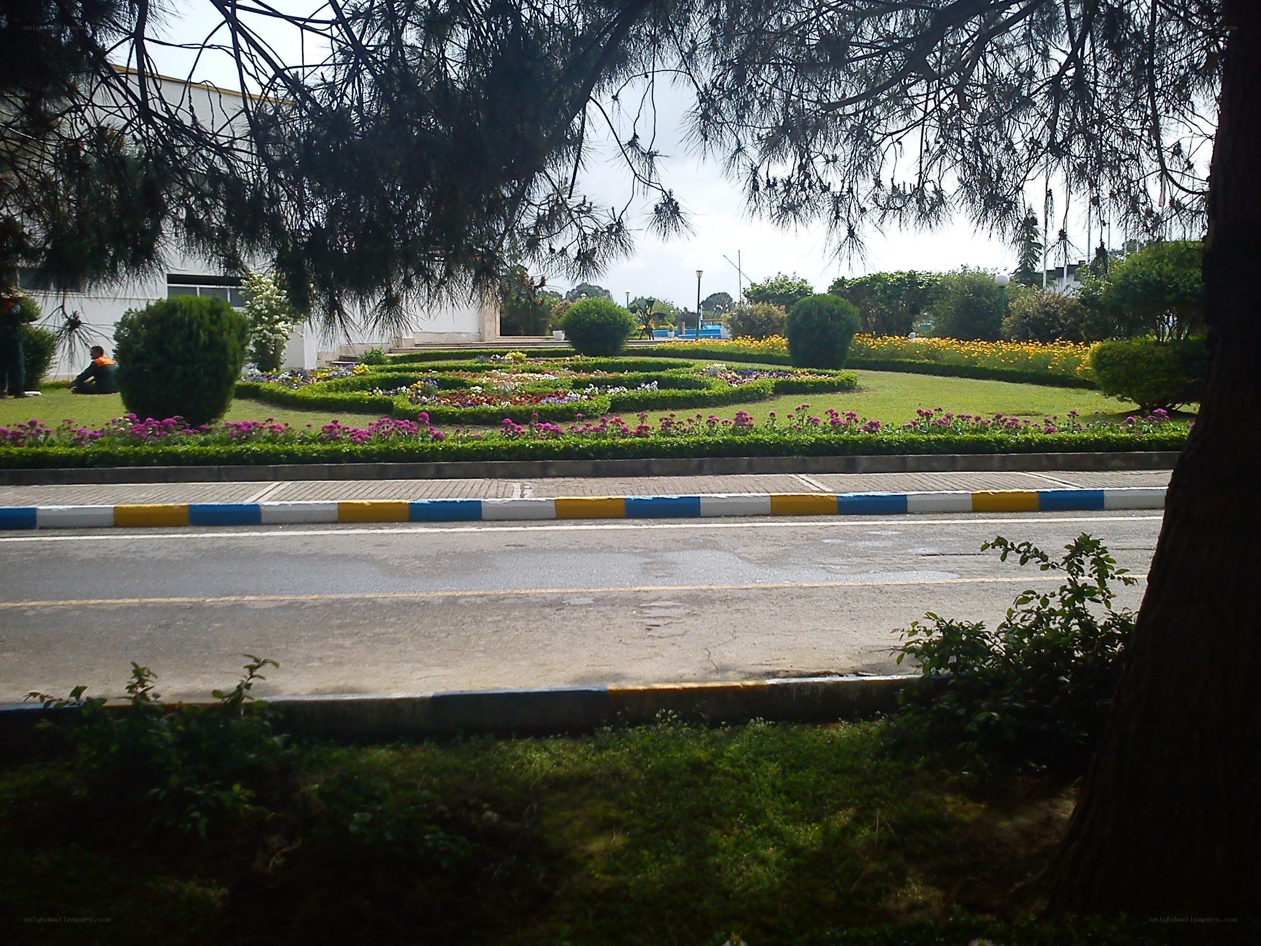 park with flower beds