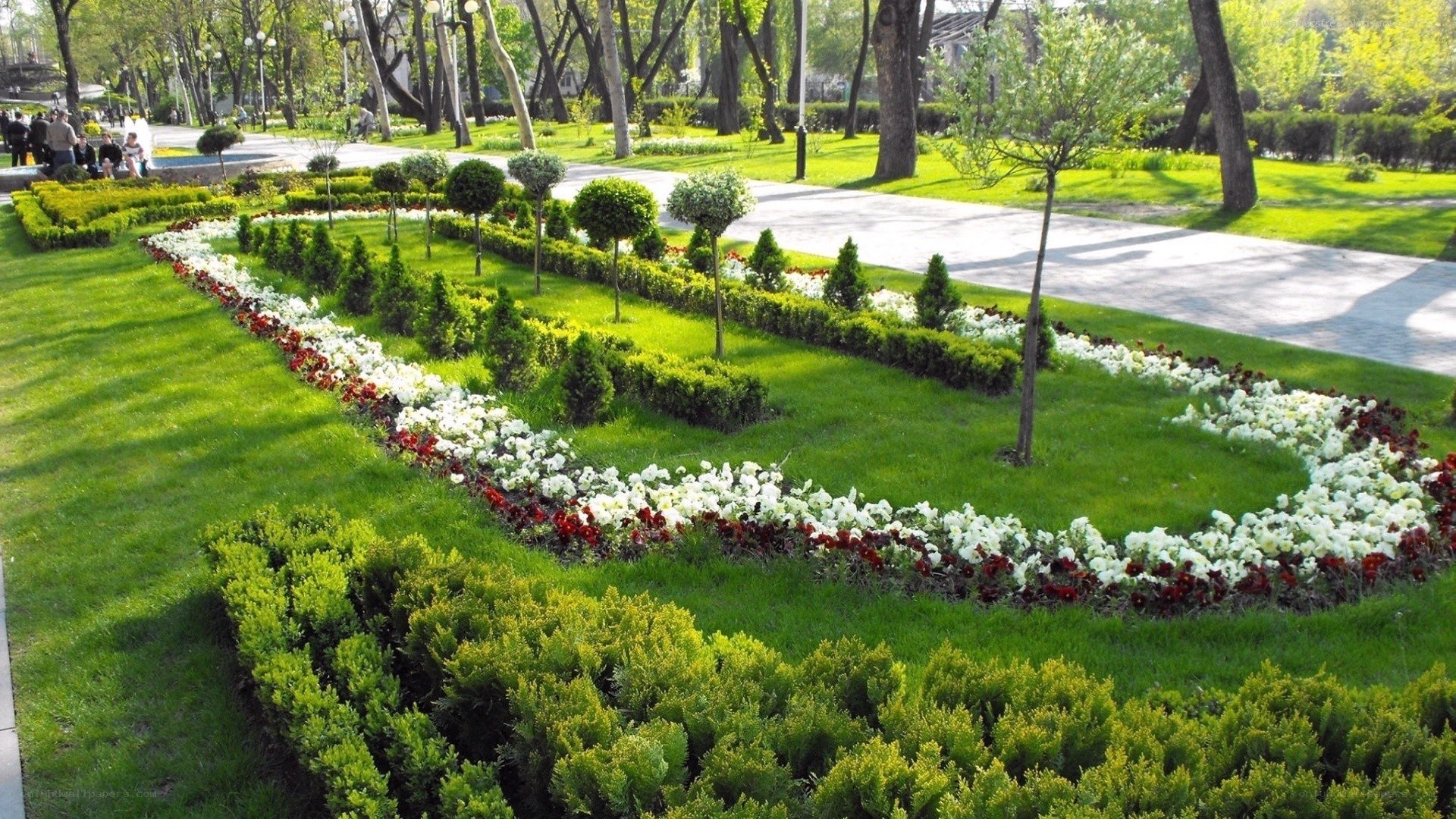 park with flower beds
