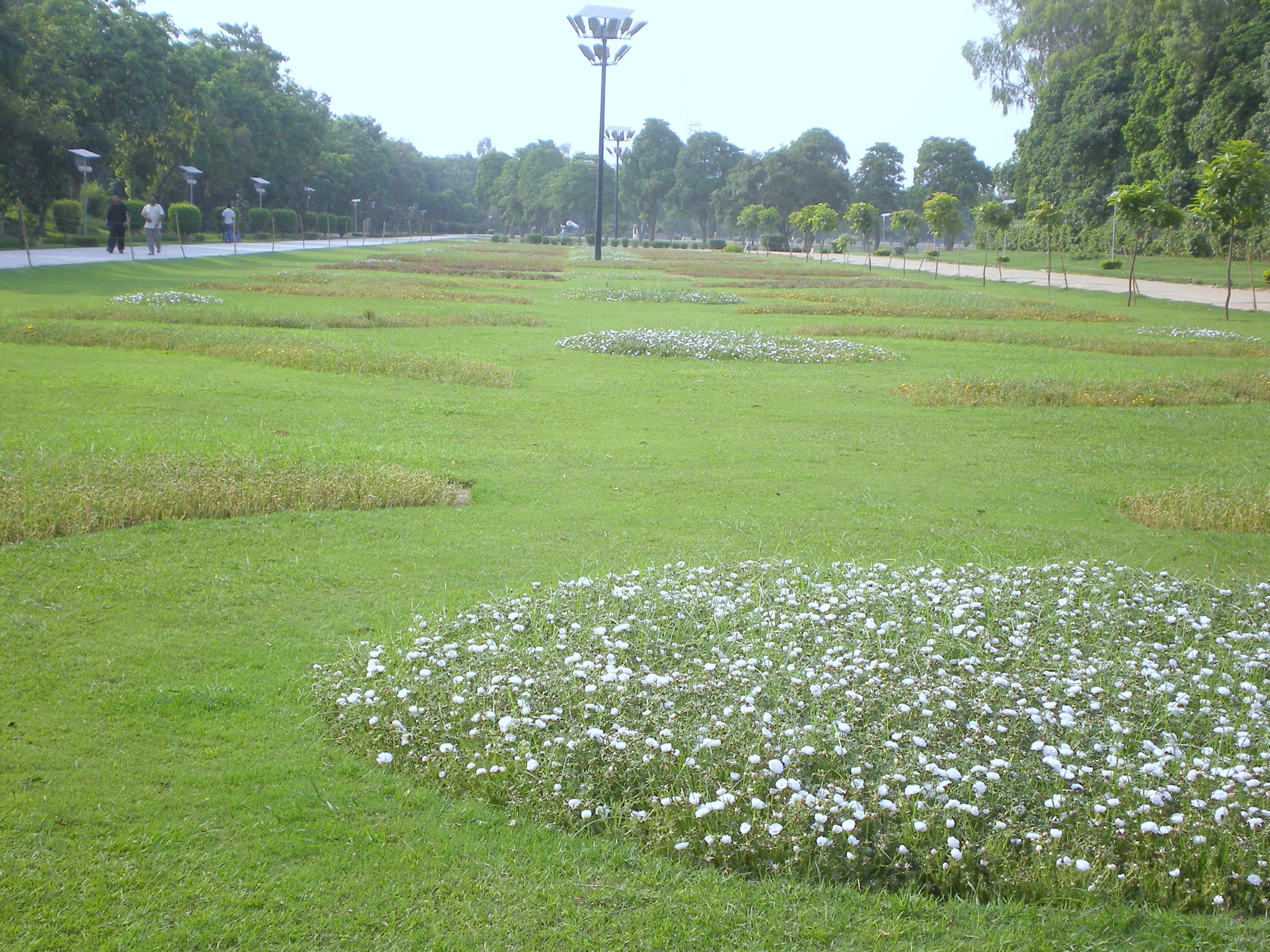 Park with flower beds