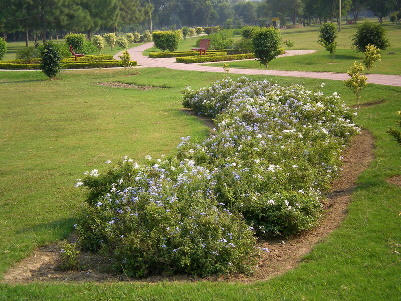 Park with flower beds and paths