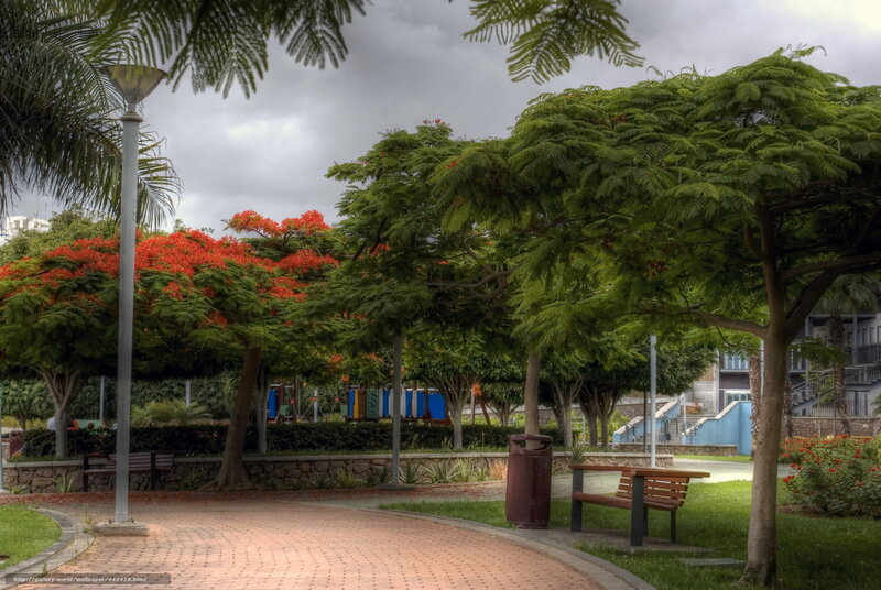 Park with flowering trees