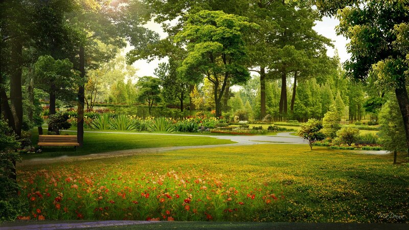 Park with Flowers and Bench