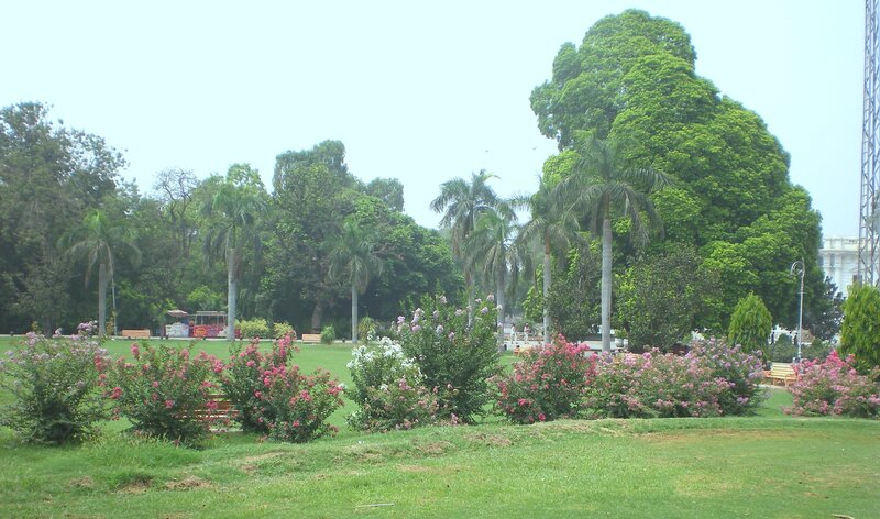 park with flowers and palm trees