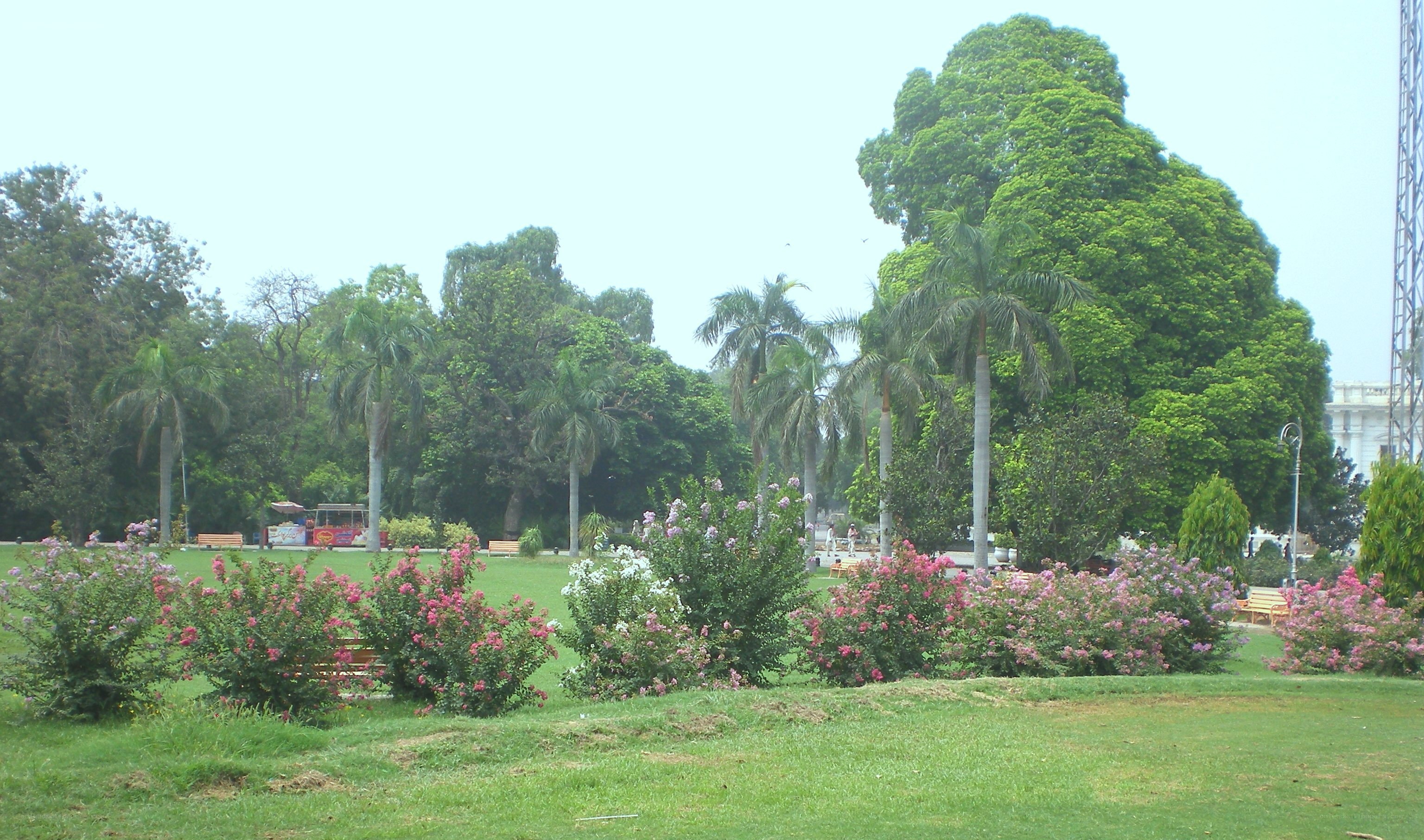 park with flowers and palm trees