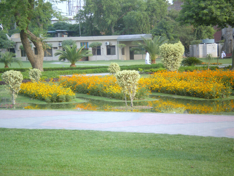 Park with flowers and pond