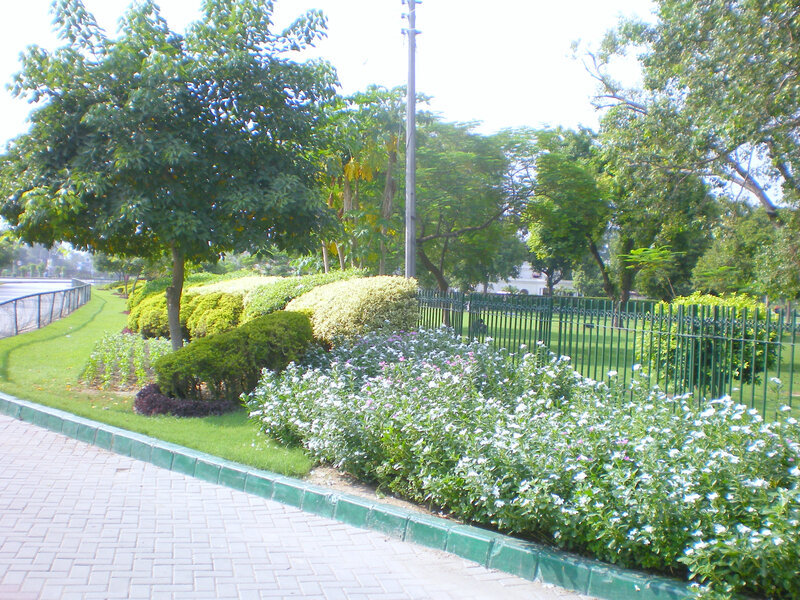 Park with flowers and trees