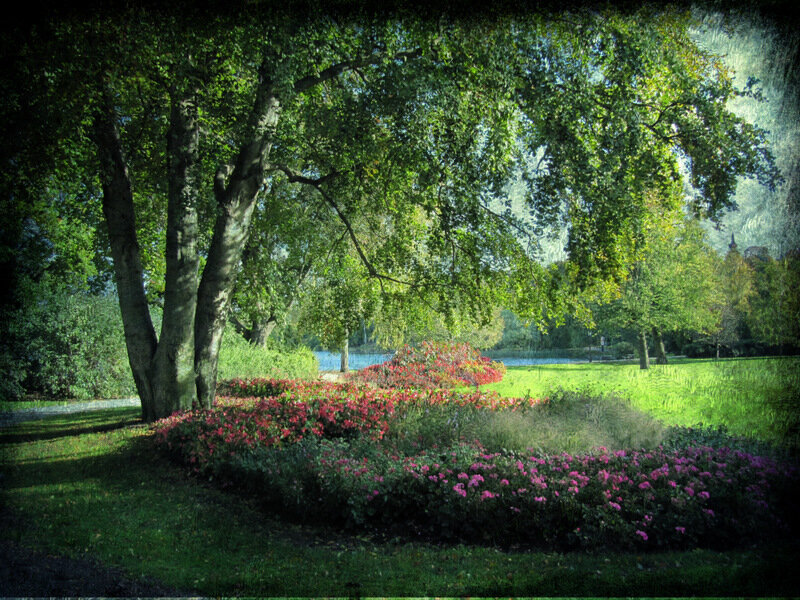 Park with flowers and trees