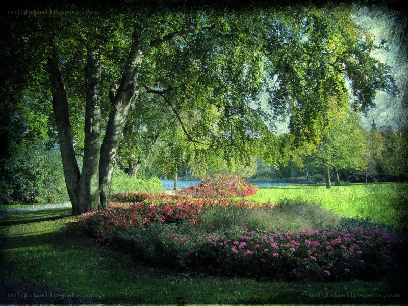 Park with flowers and trees