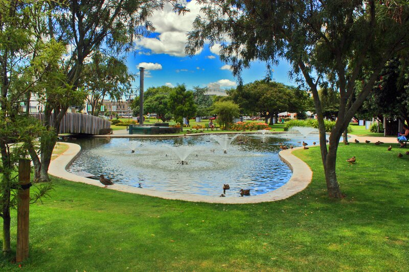 Park with fountain and ducks