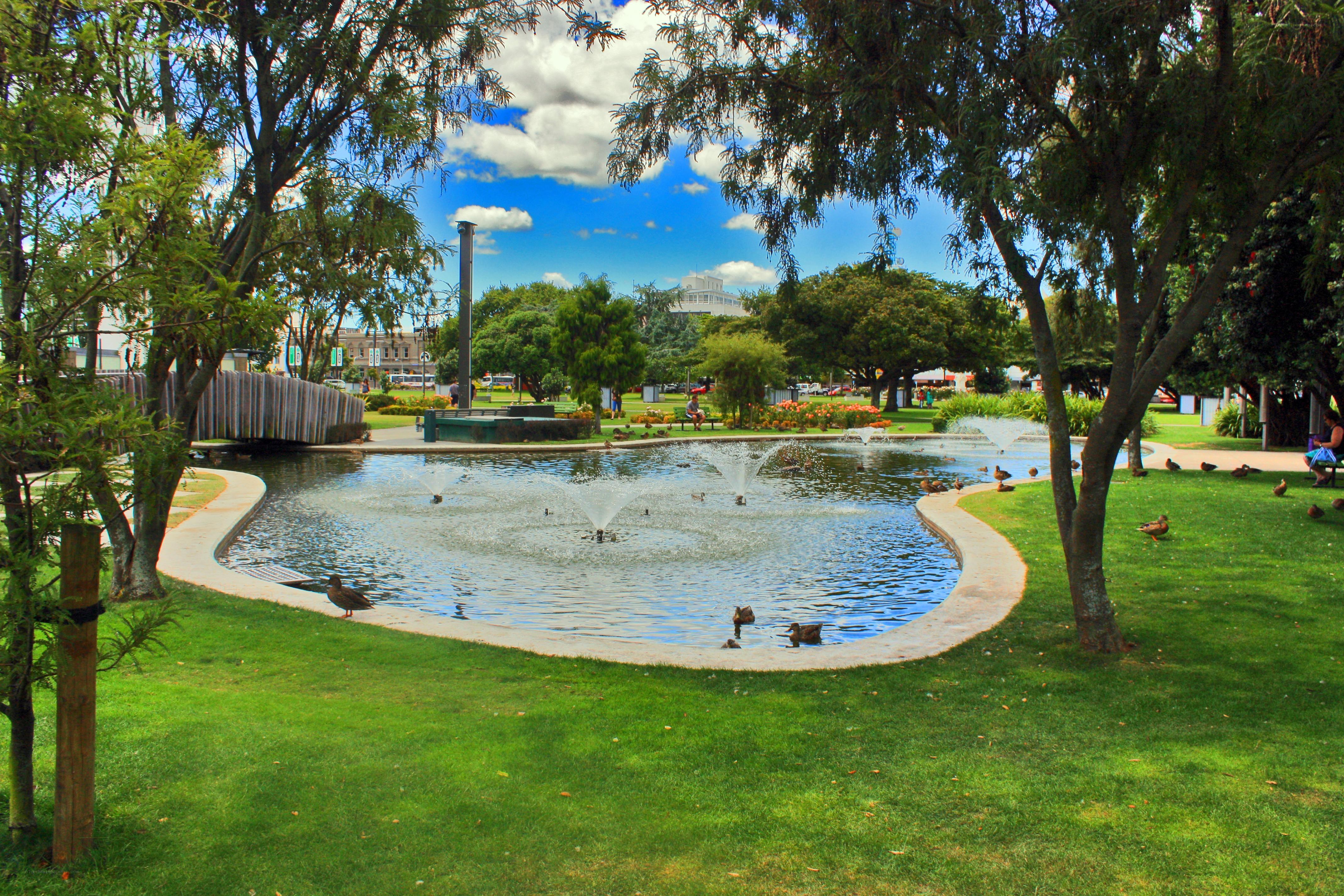 Park with fountain and ducks