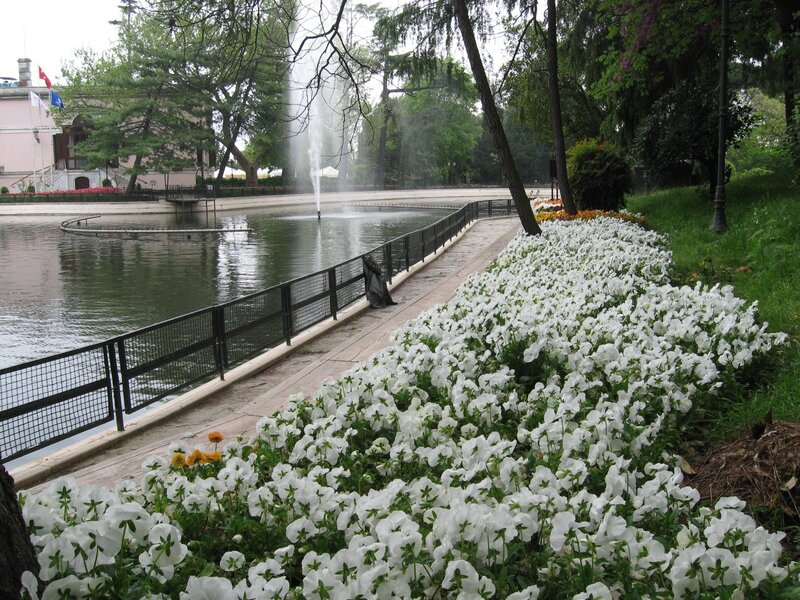 Park with fountain and flowers
