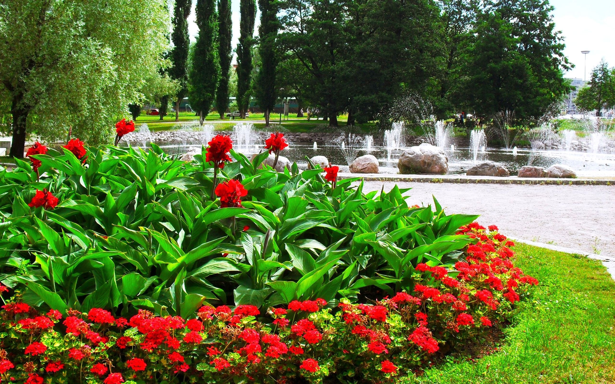 Park with fountain and flowers