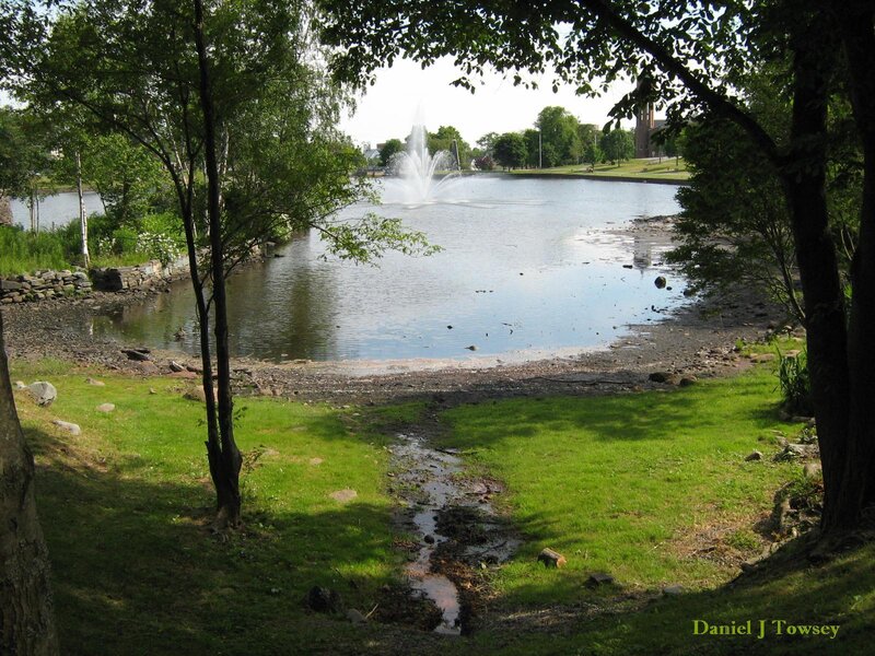 Park with fountain and pond