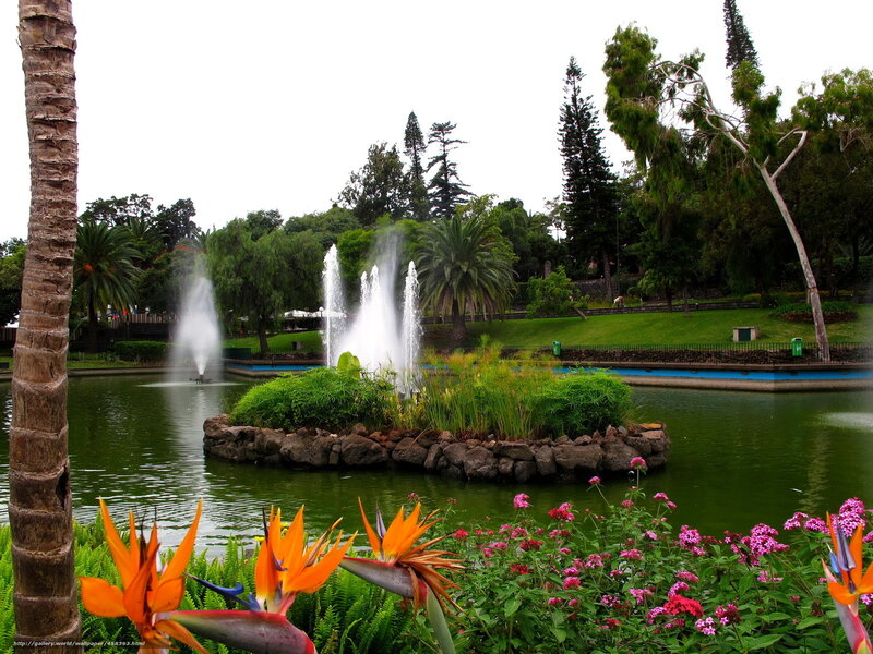 Park with fountain and tropical flowers