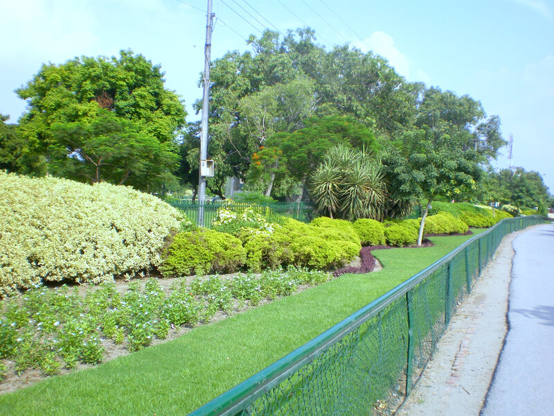 park with green bushes and fence