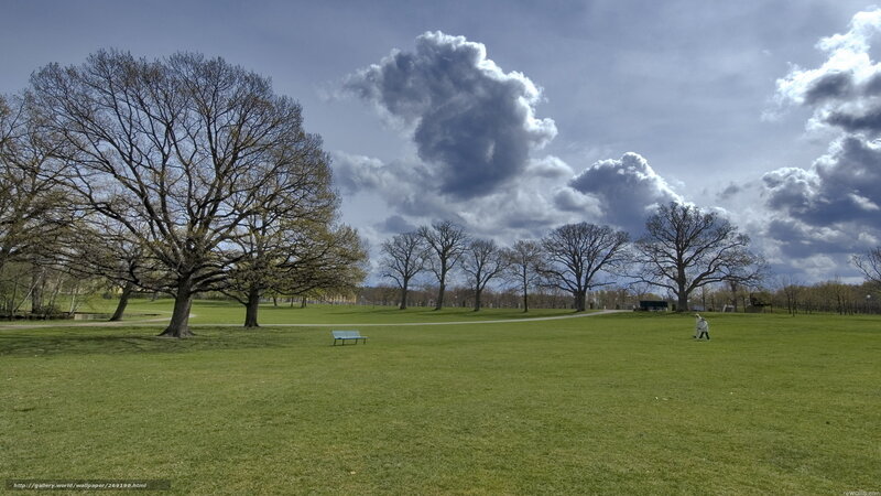 Park with green grass and trees