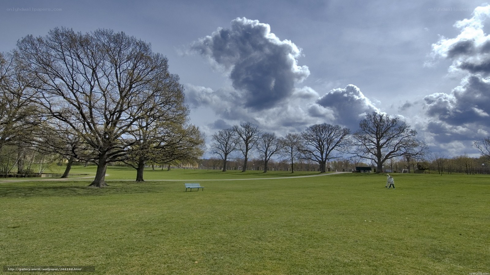 Park with green grass and trees