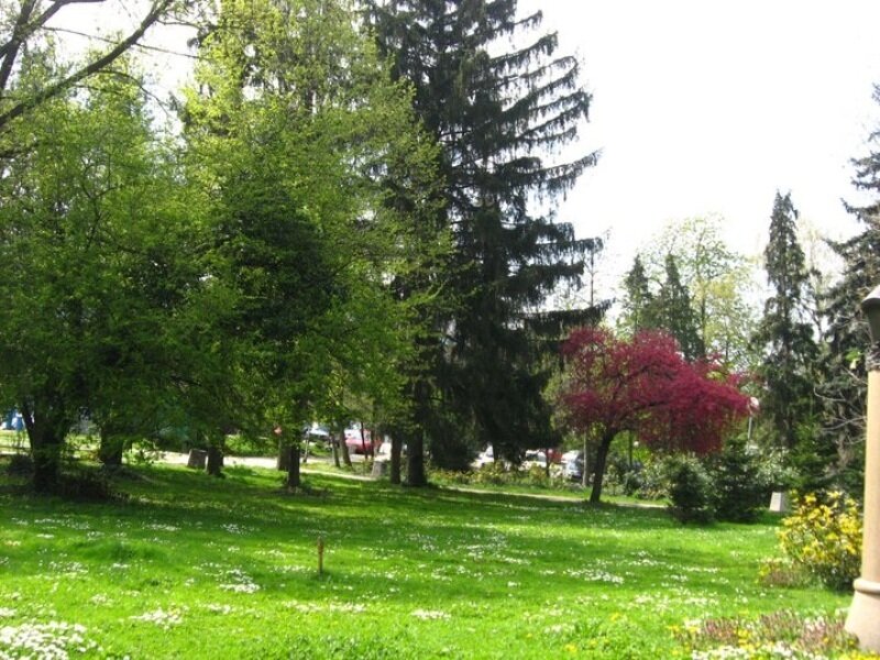 Park with Green Grass