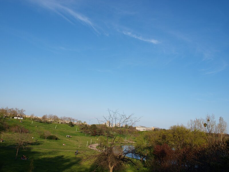 Park with green hills and pond