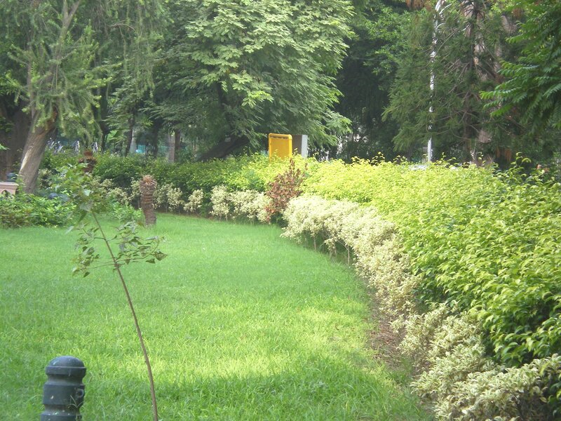 park with green lawn and bushes