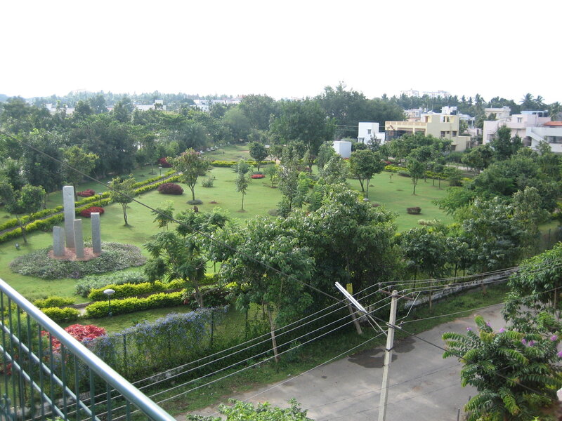 park with green lawn and trees