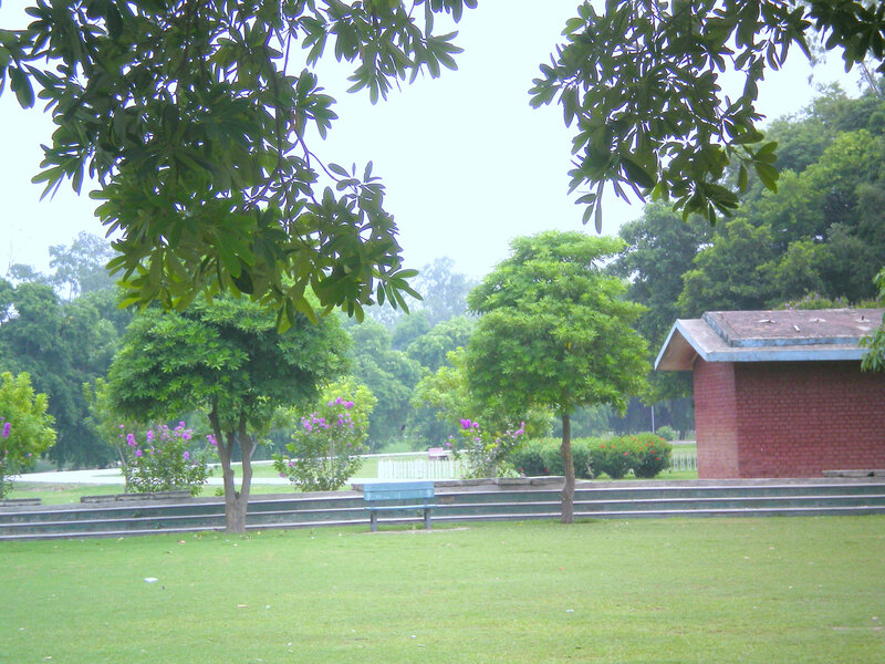 Park with green lawn and trees