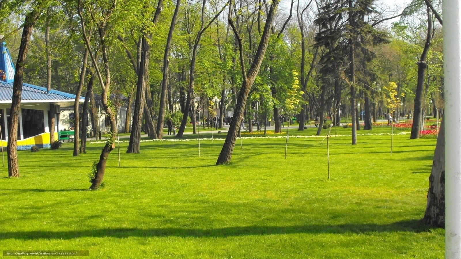 Park with green lawn and trees