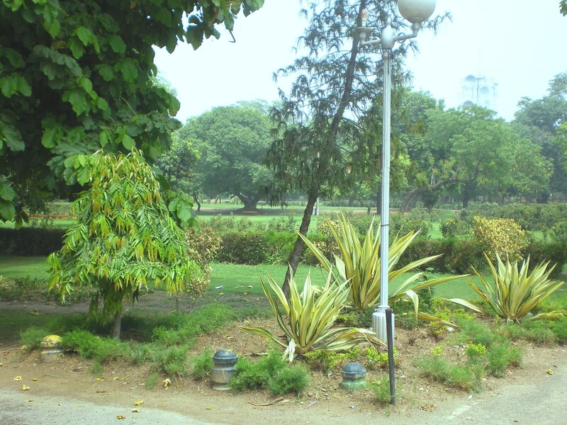 Park with greenery and lamp post