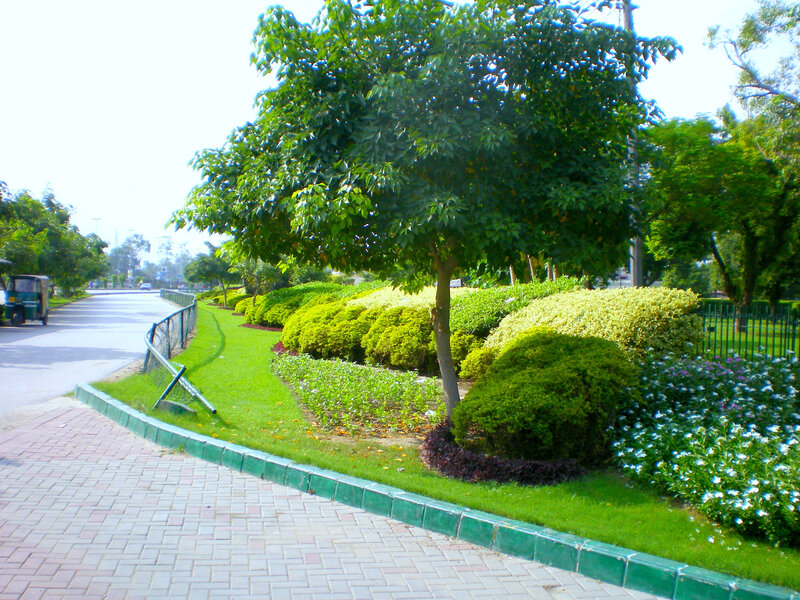 park with greenery and walkway