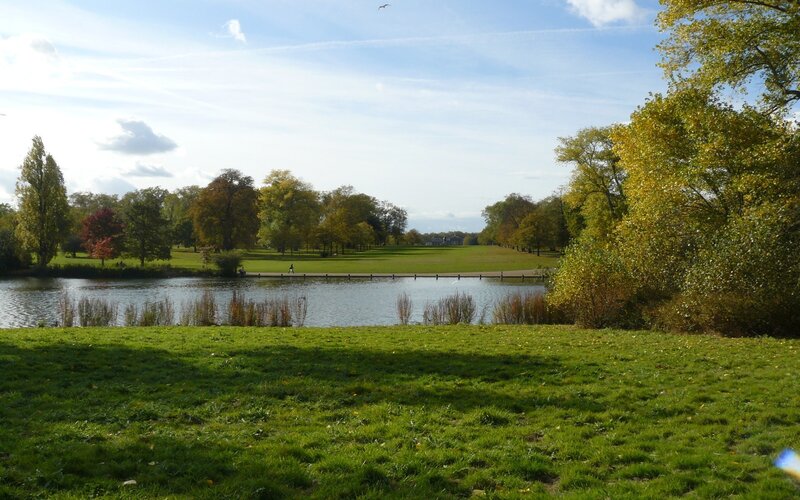Park with lake and autumn trees