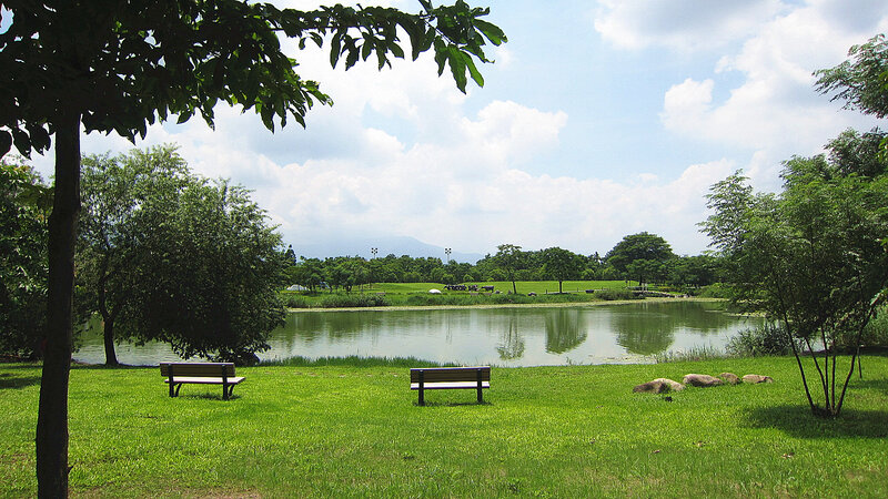 Park with Lake and Benches