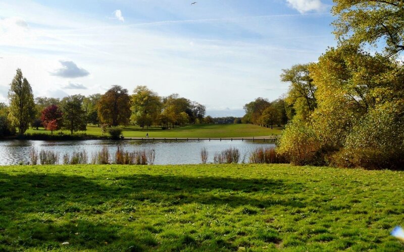 Park with Lake and Trees