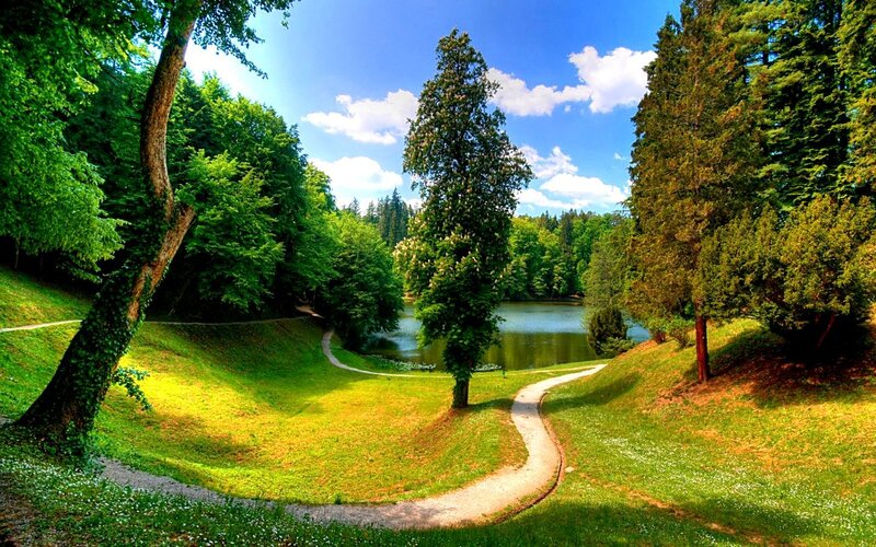 Park with lake and winding path
