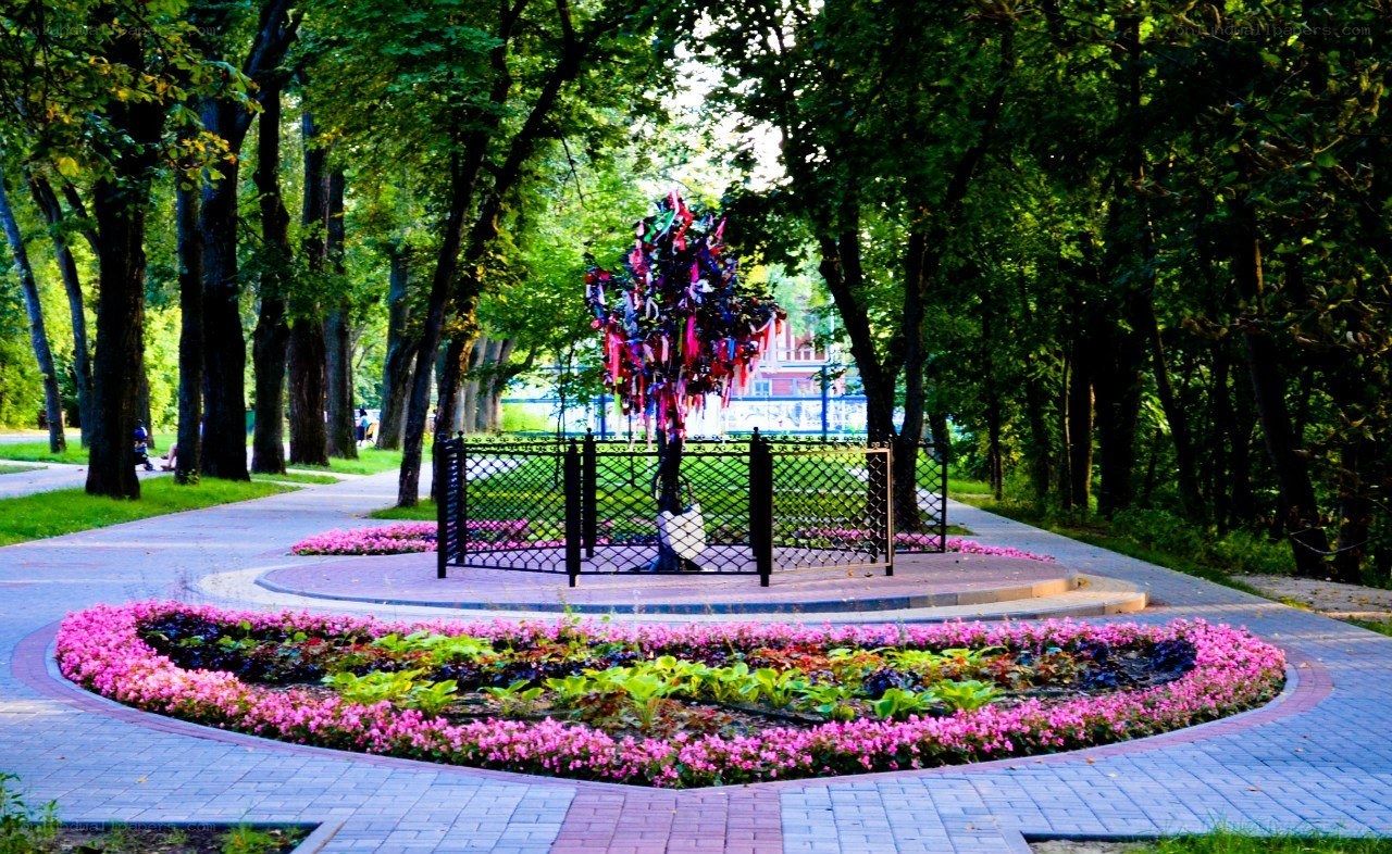 Park with love lock tree