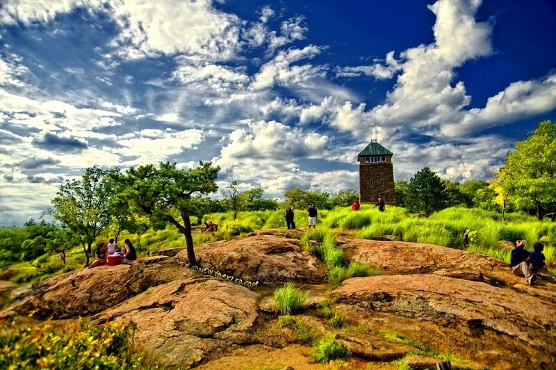 Park with observation tower