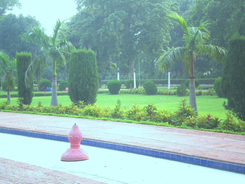 park with palm trees