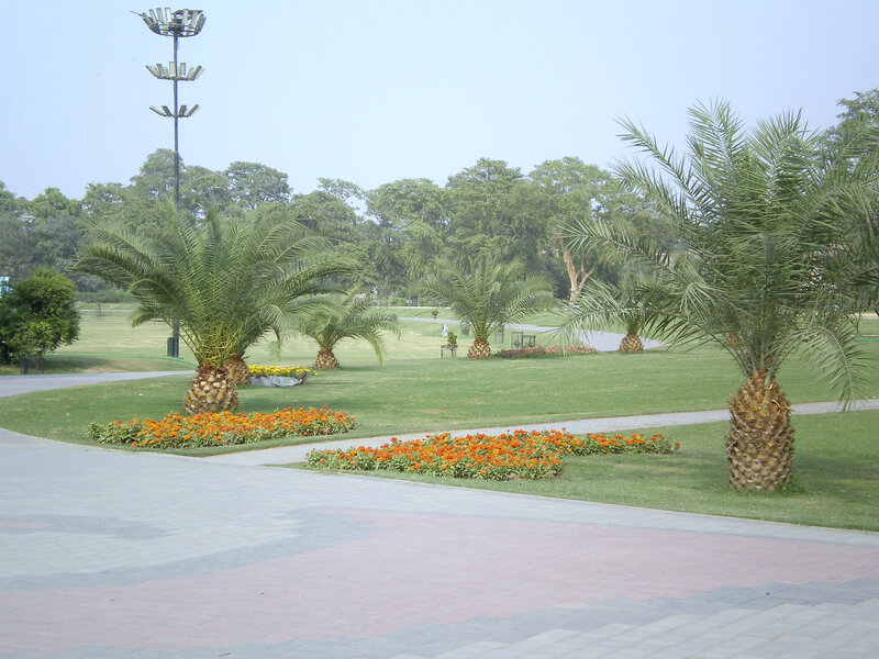 Park with palm trees and flowers