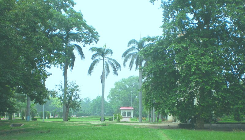 Park with palm trees and gazebo