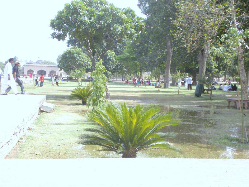Park with people and palm trees