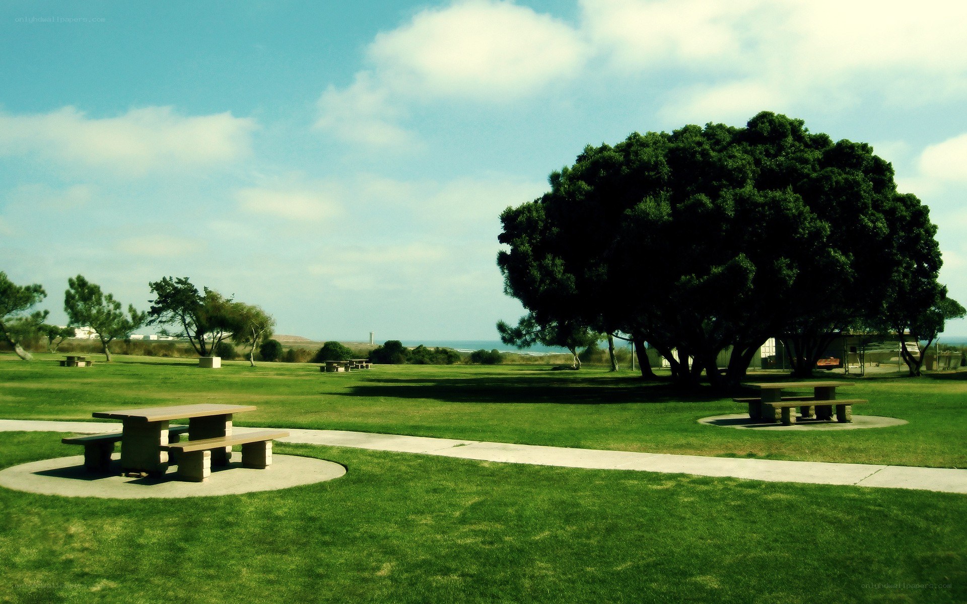 Park with picnic tables and trees