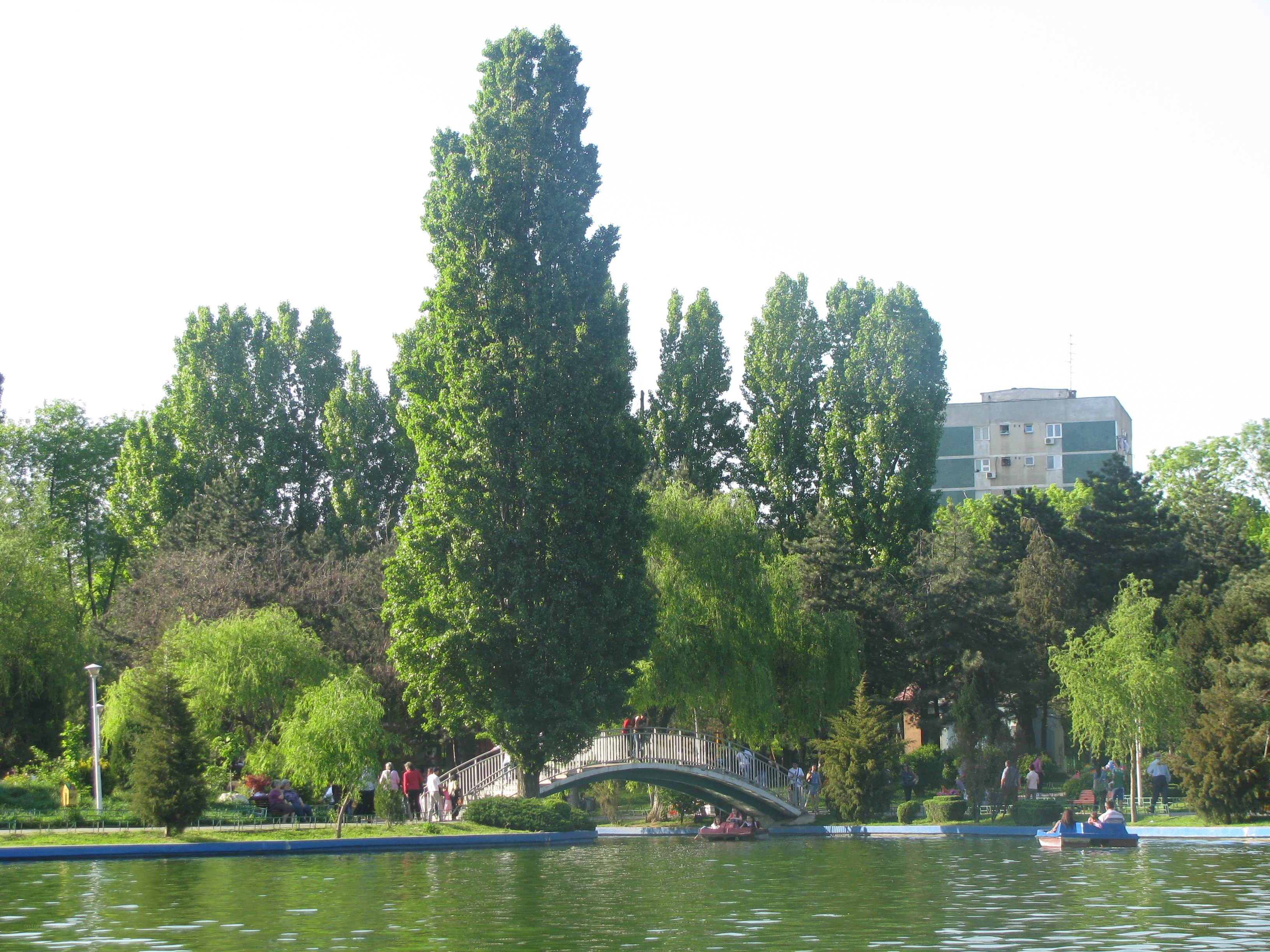 Park with pond and bridge