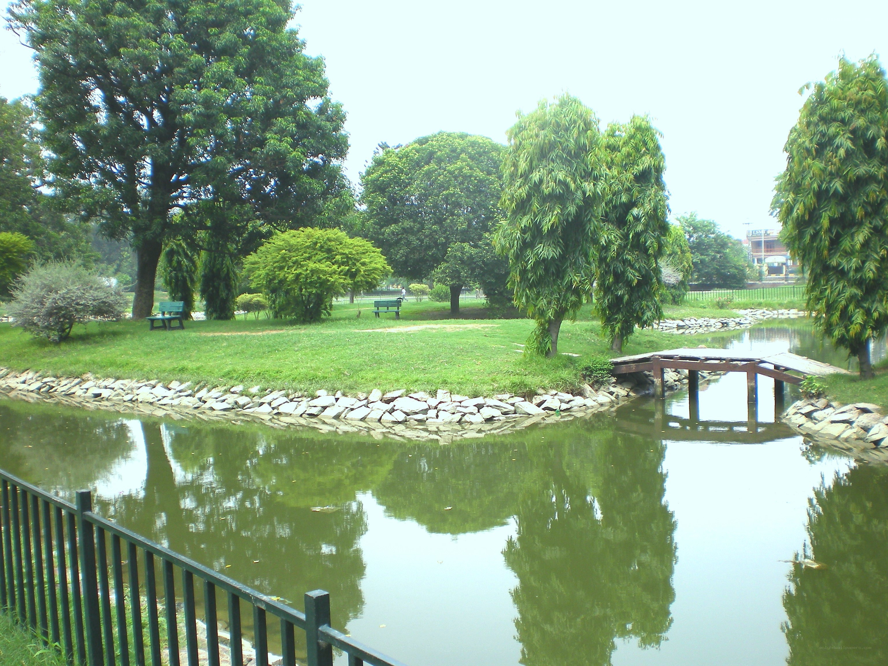 Park with pond and bridge